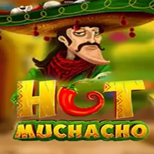 Discovering the Excitement of HotMuchacho: A Licensed Online Casino Experience